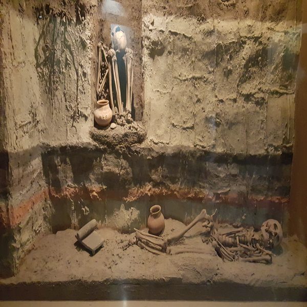 MUSEO ANTROPOLOGÍA E HISTORIA 7